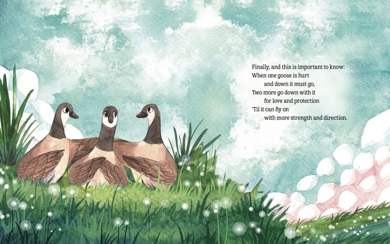 Three geese resting together in the grass